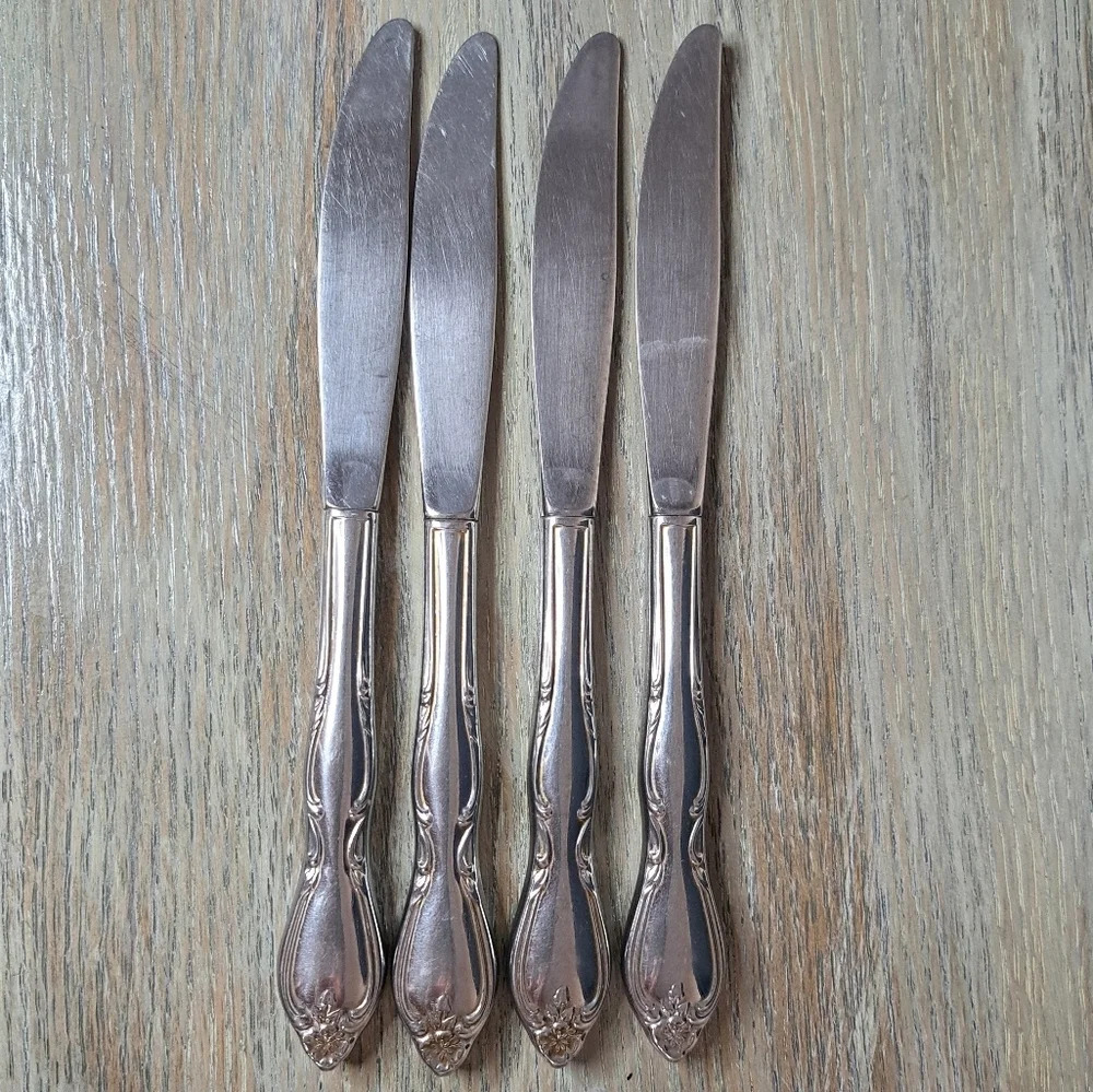 ONEIDA WM A Rogers Montclair Stainess LTD 10 knives